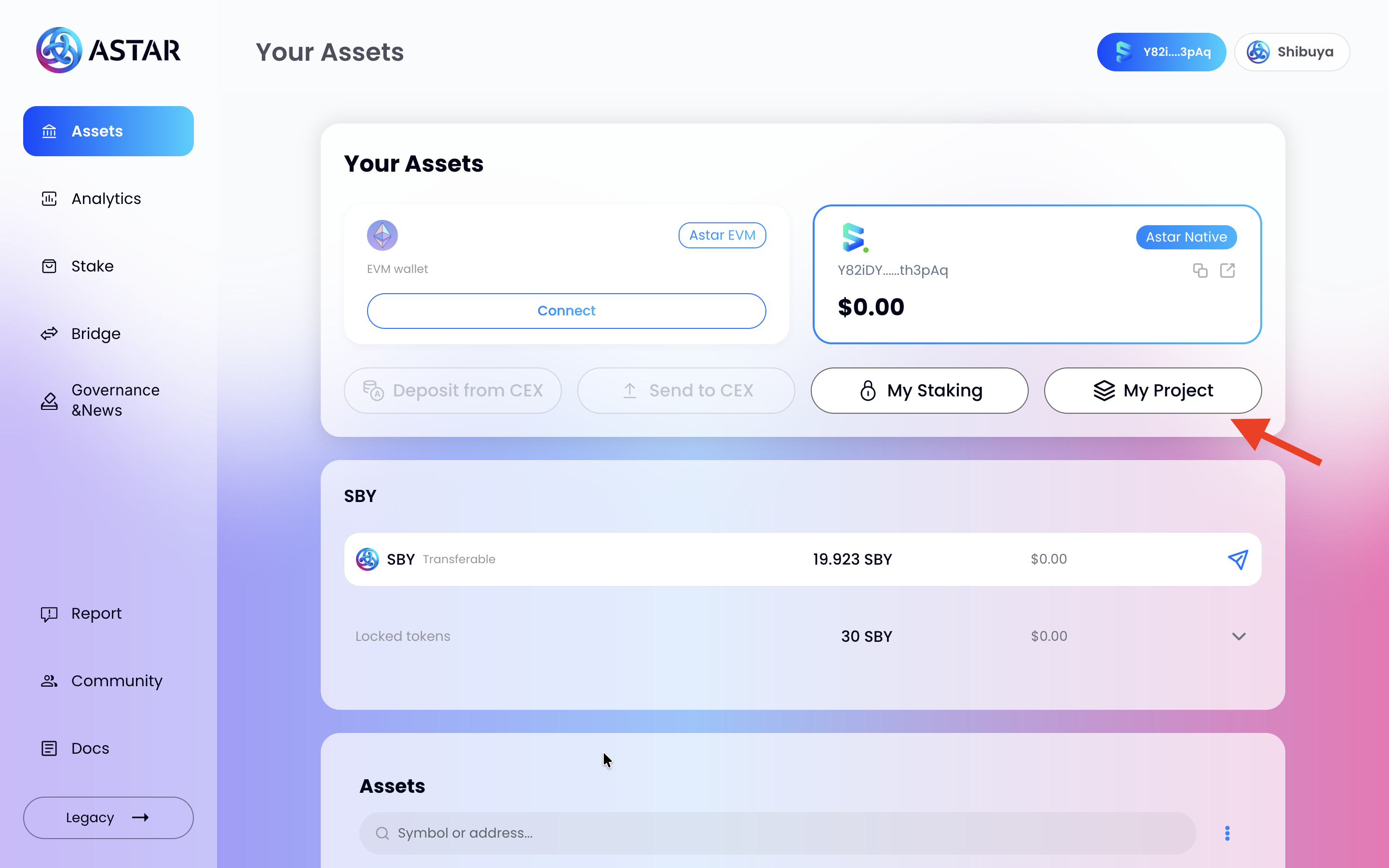 Assets page showing the My Project button